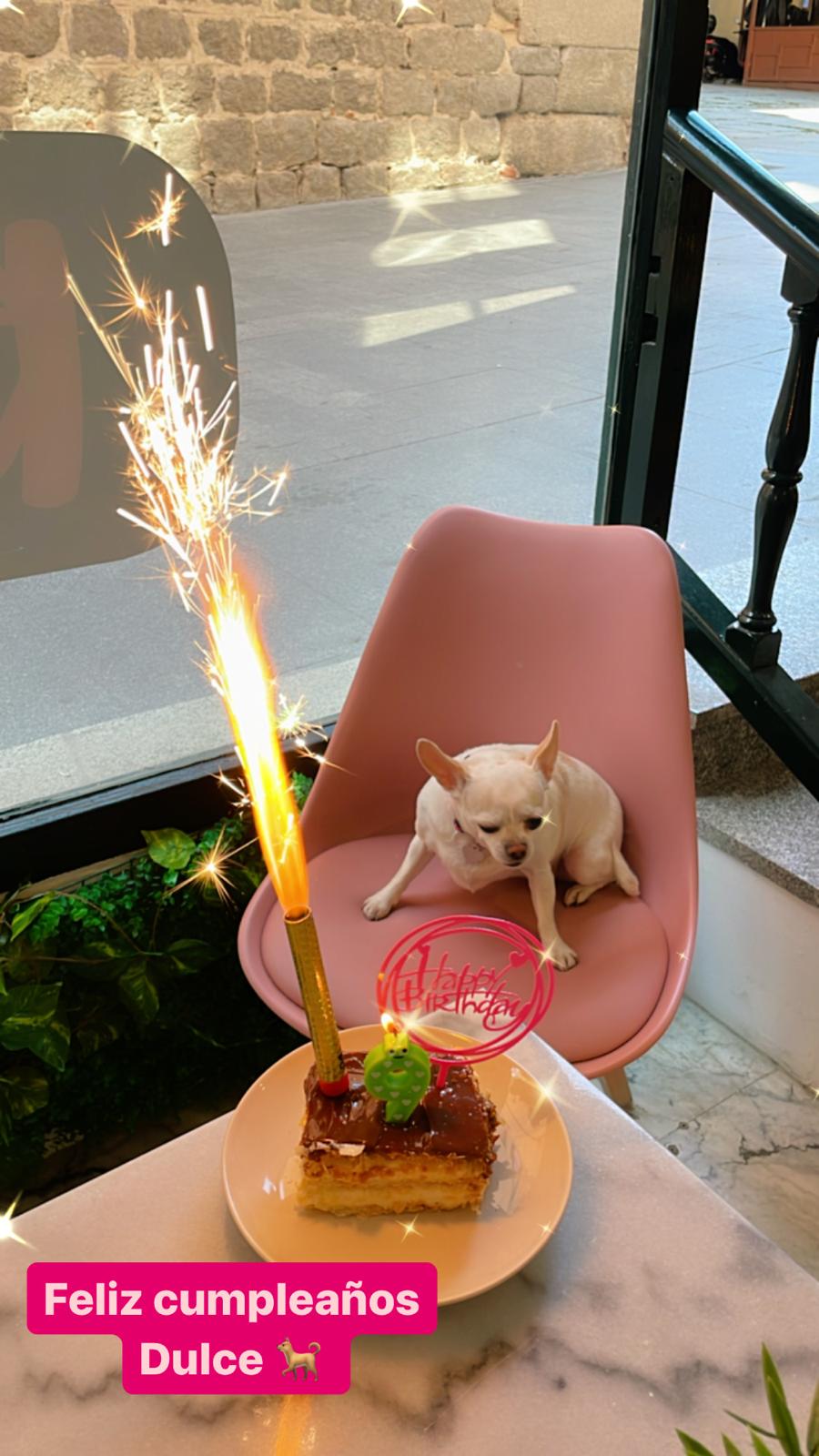 Publicación Instagram Bizcochito 7